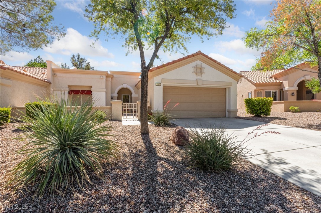 1904 Bellview Street