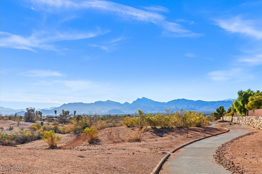 6836 Woodland Vase Court