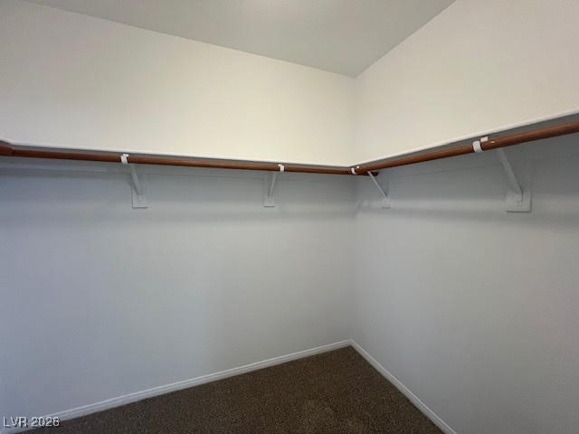 8229 Strawberry Spring Street