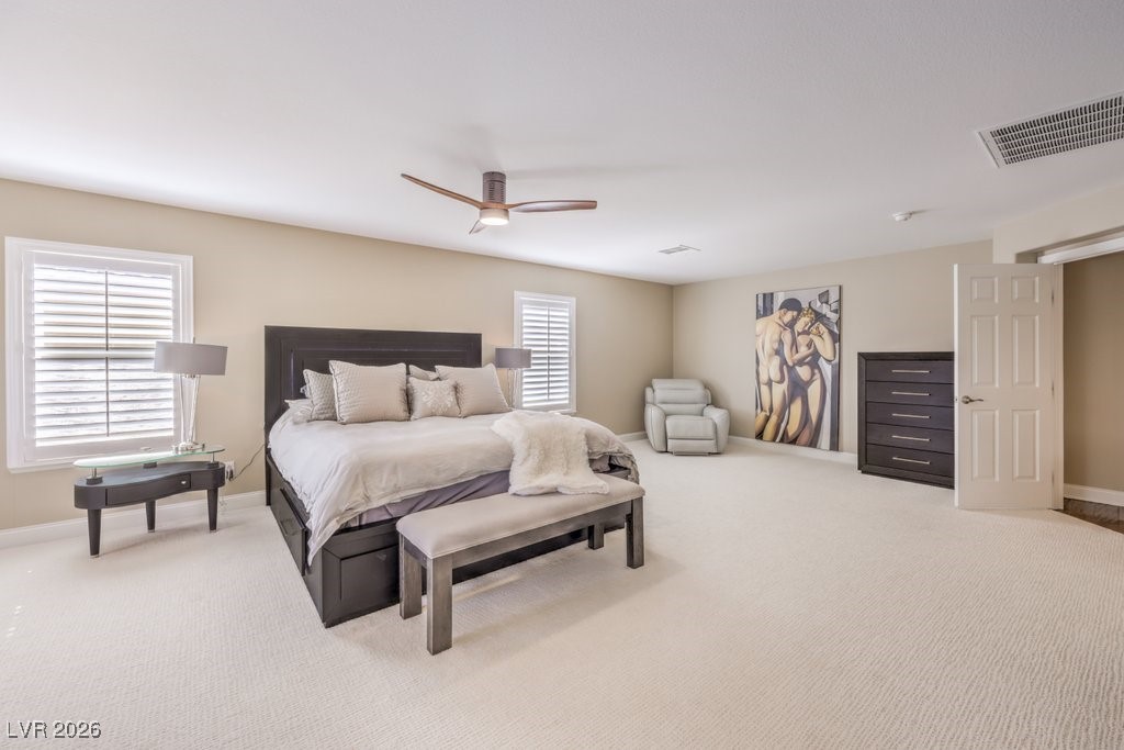 11072 Pentland Downs Street