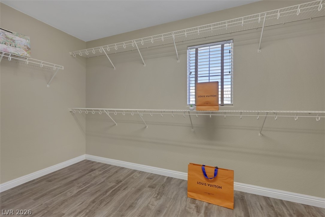 7987 Delft Blue Street