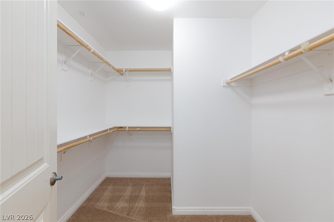 1037 Water Cove Street