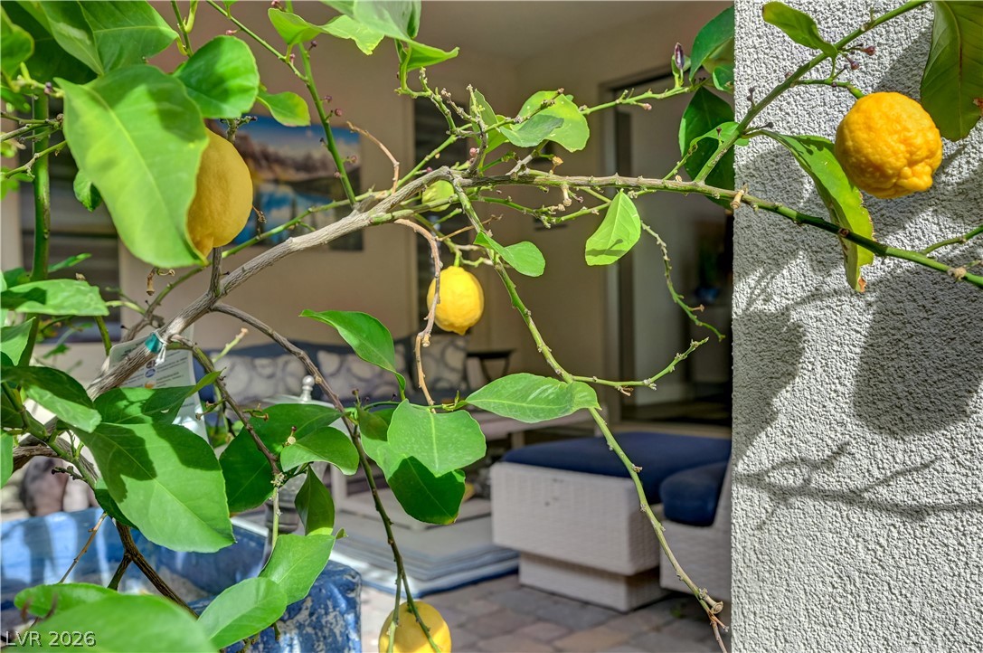 4315 Sunrise Flats Street