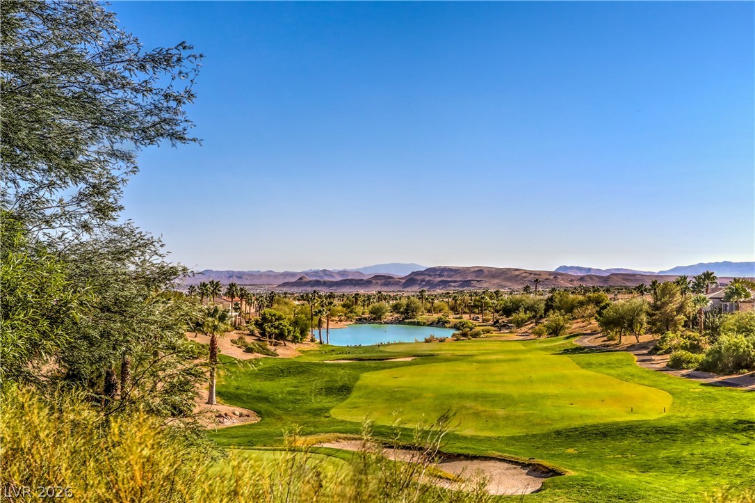 3258 Dove Run Creek Drive