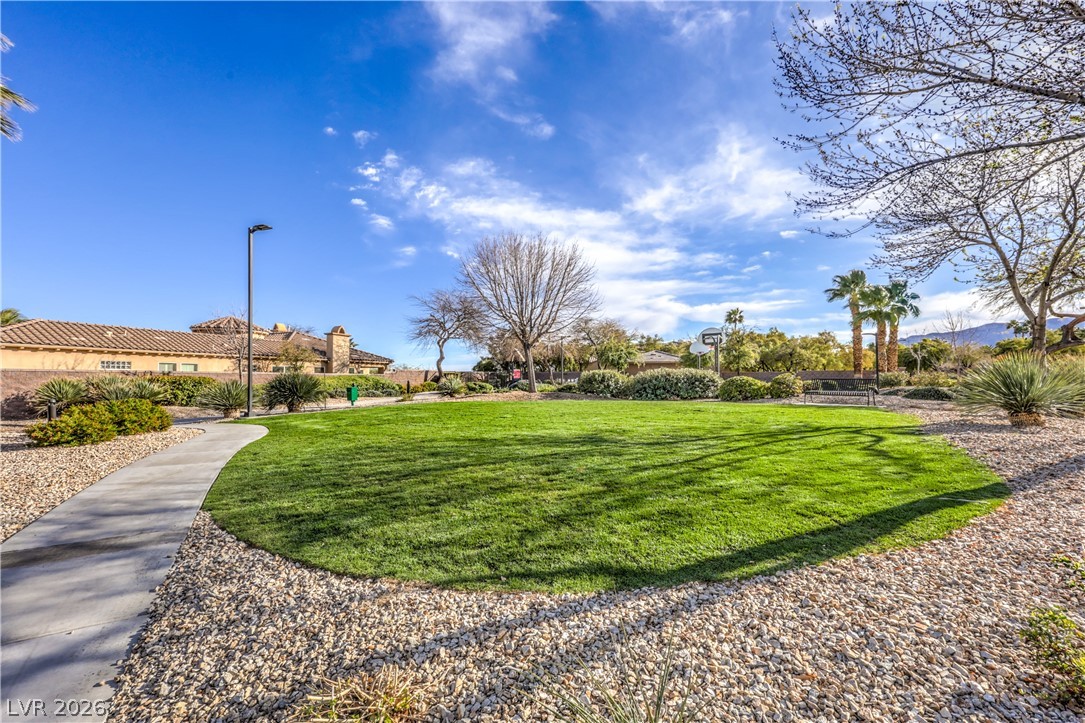 3258 Dove Run Creek Drive