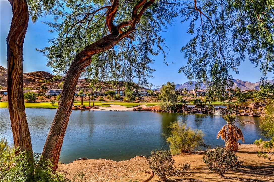 3258 Dove Run Creek Drive