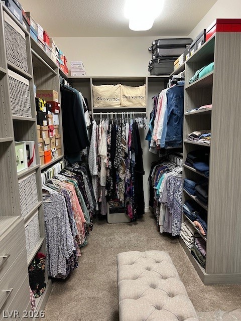 4565 Amazing View Street