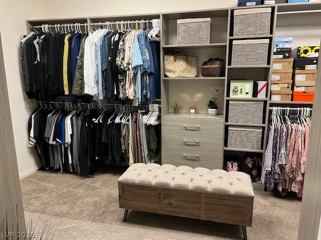 4565 Amazing View Street