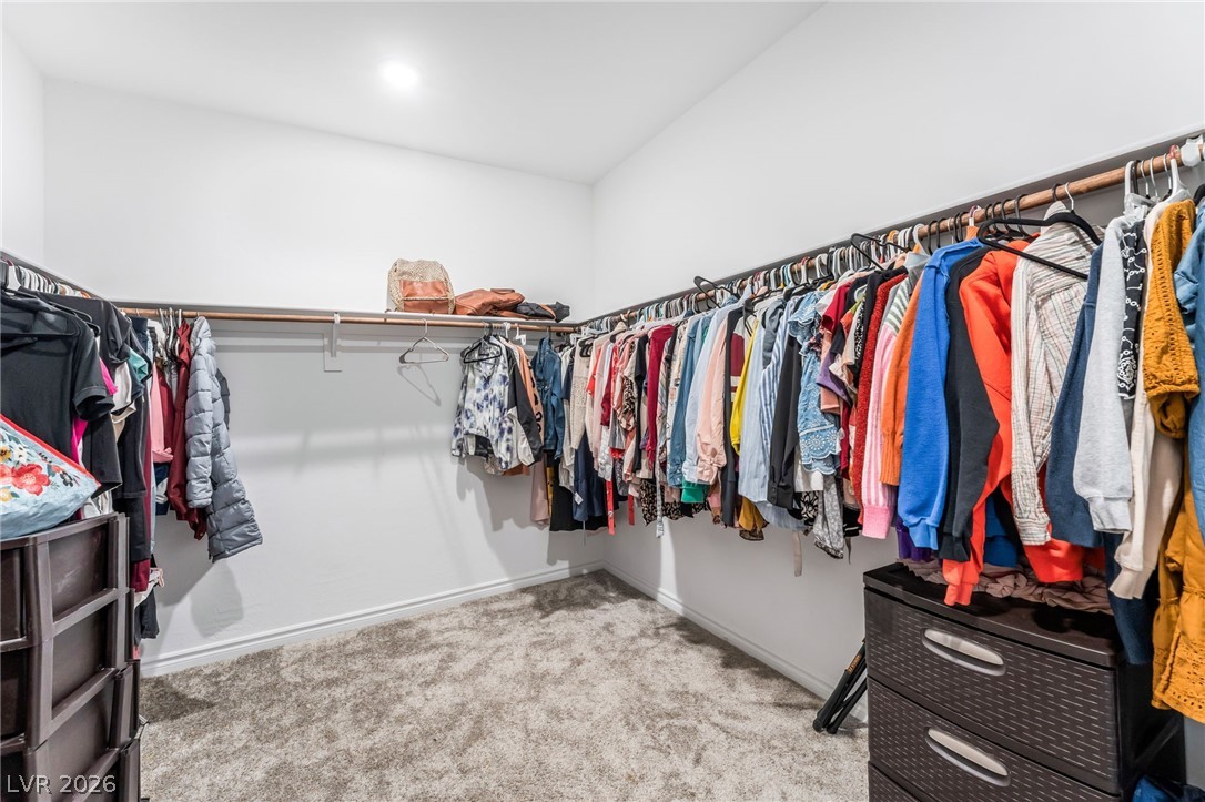 8859 Mountain Lion Avenue