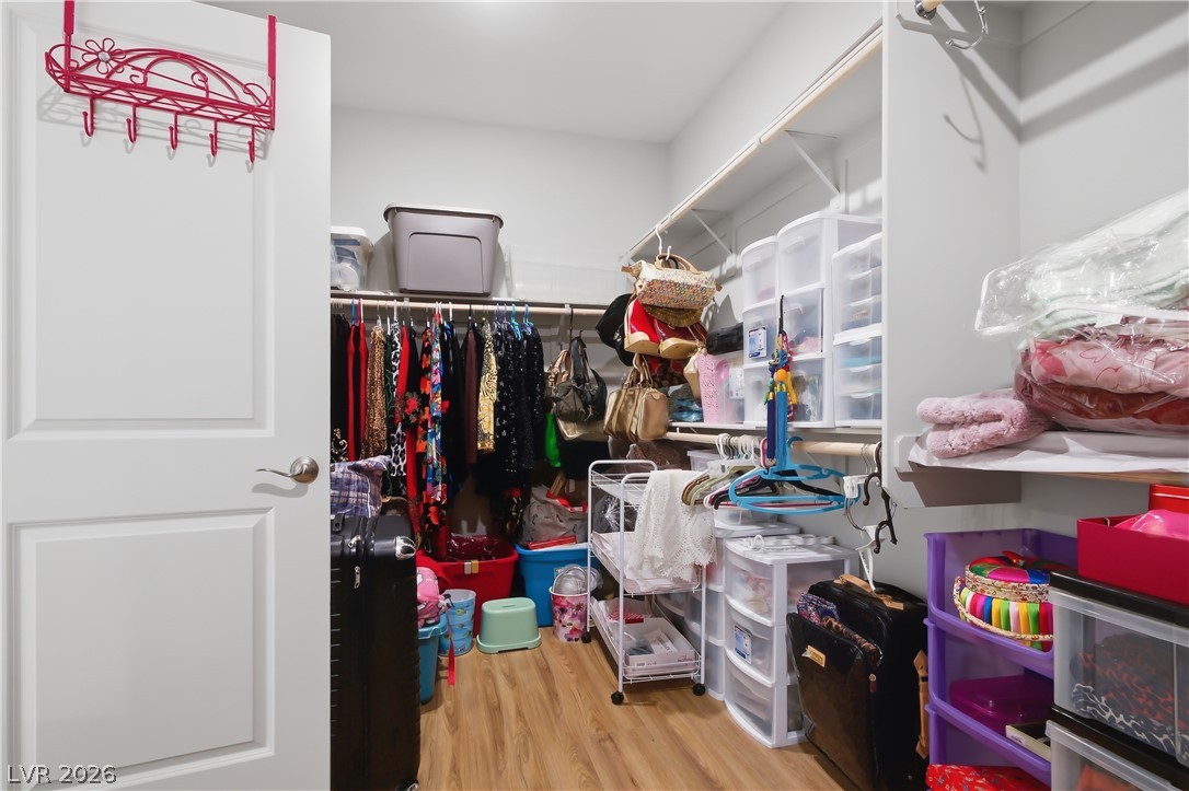 1144 Green Lovebird Street