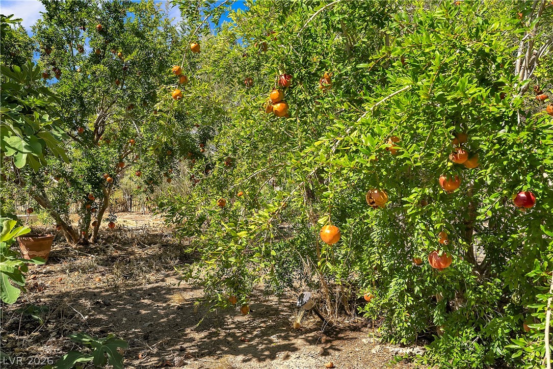 12575 West Wigwam Avenue
