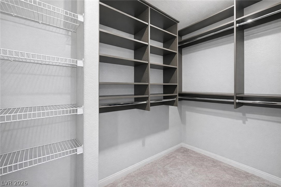 4616 Chirping Cricket Avenue