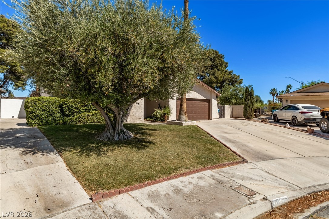 3709 Pamplona Circle