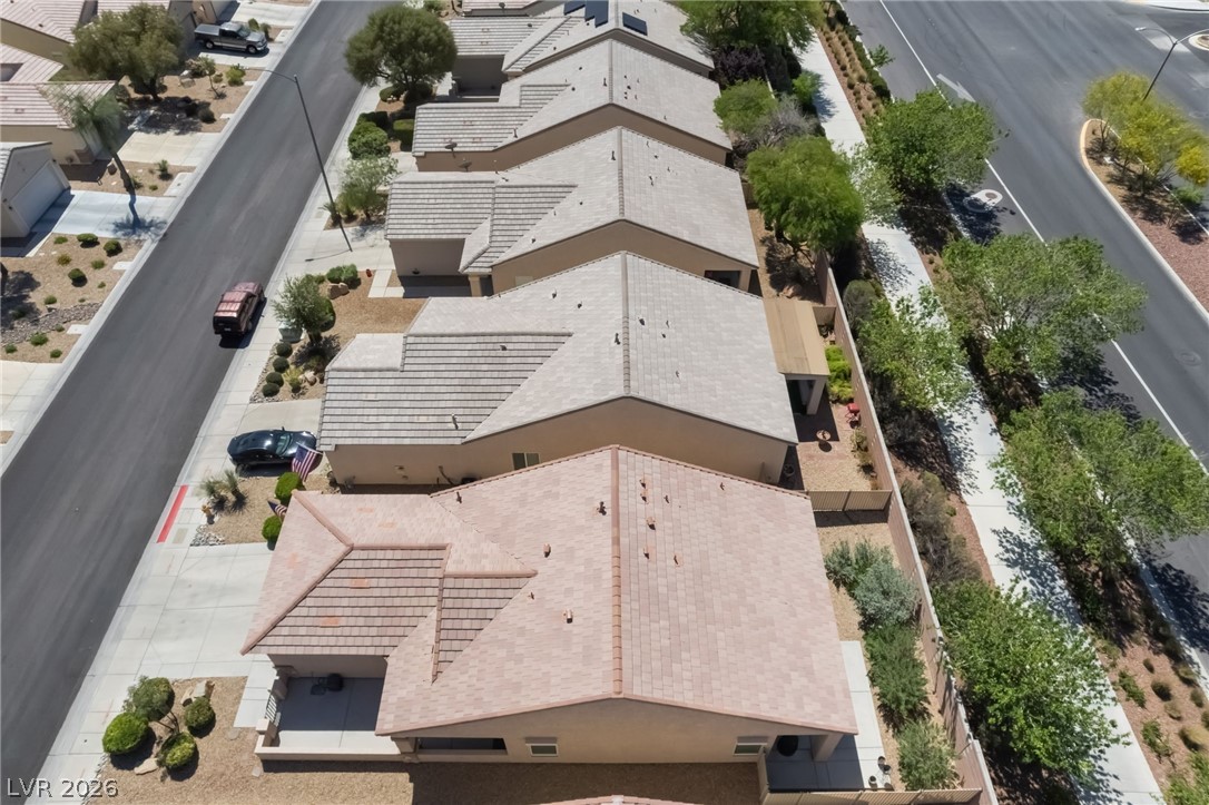 7857 Lily Trotter Street
