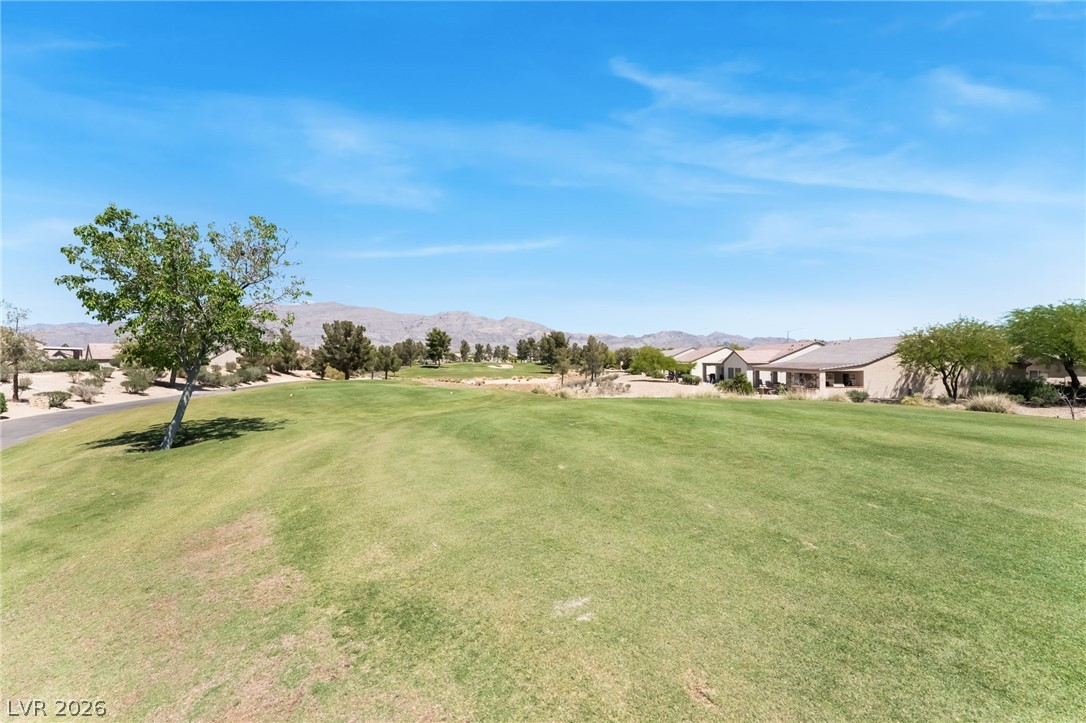 7857 Lily Trotter Street