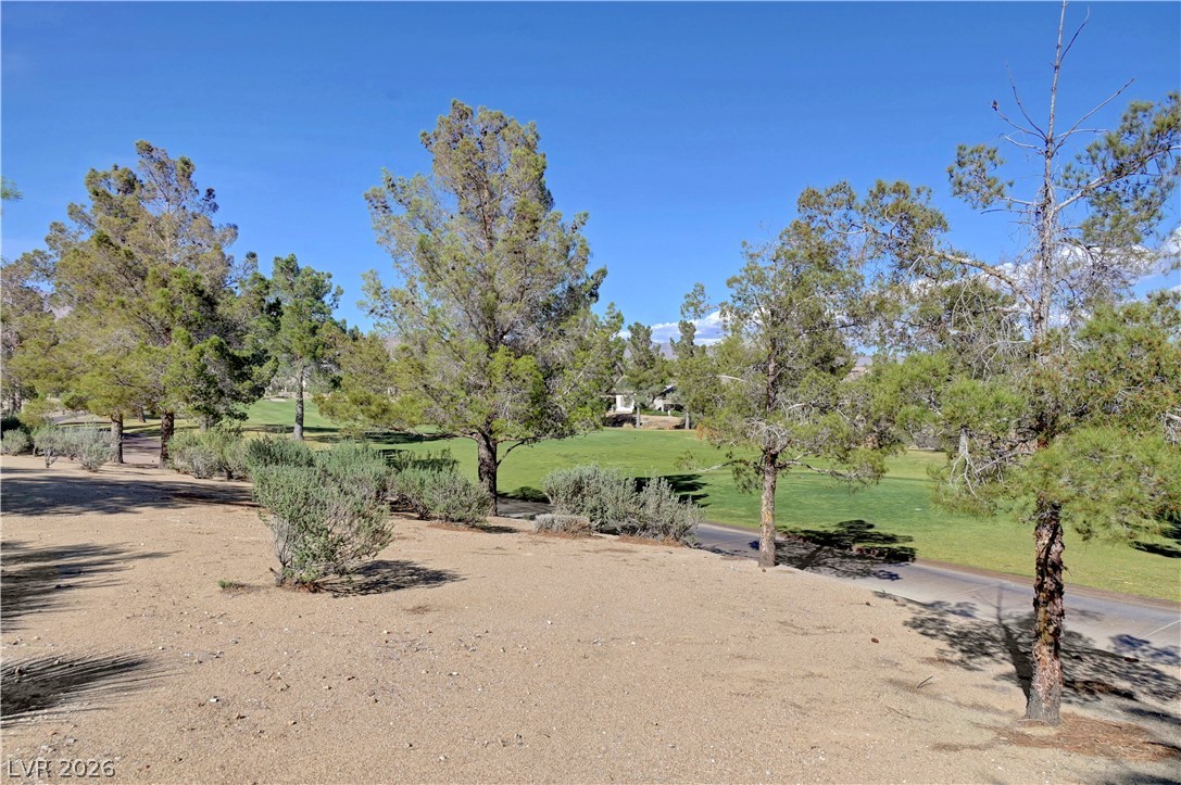 7612 Lily Trotter Street