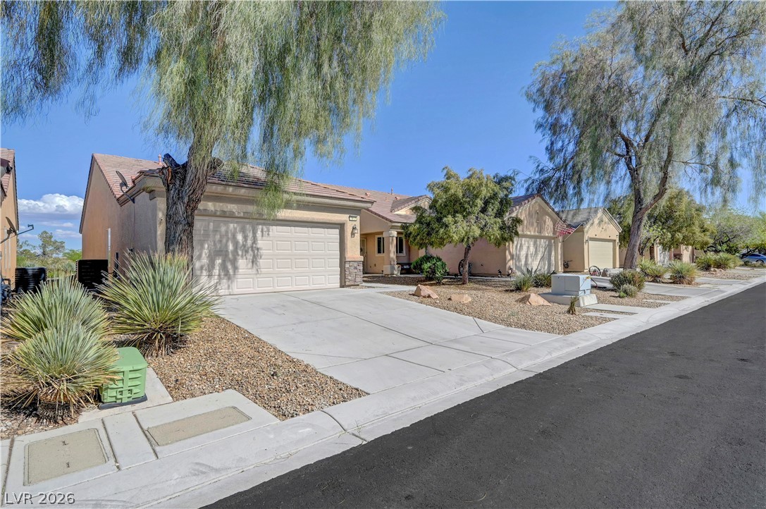 7612 Lily Trotter Street