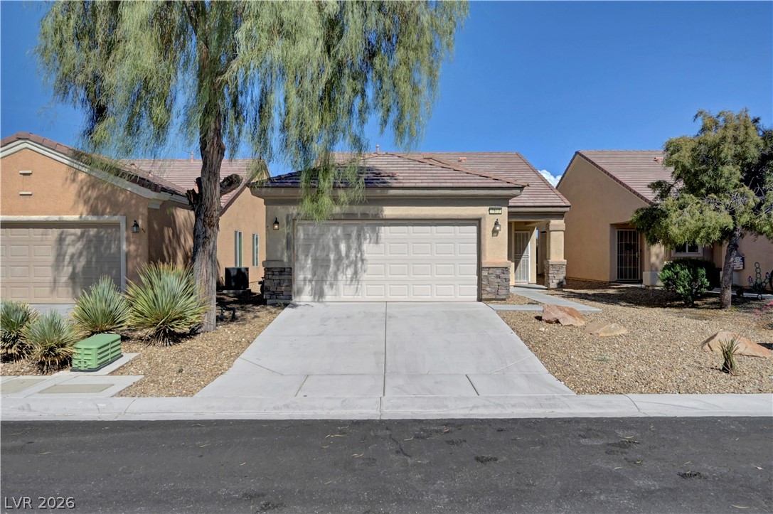 7612 Lily Trotter Street