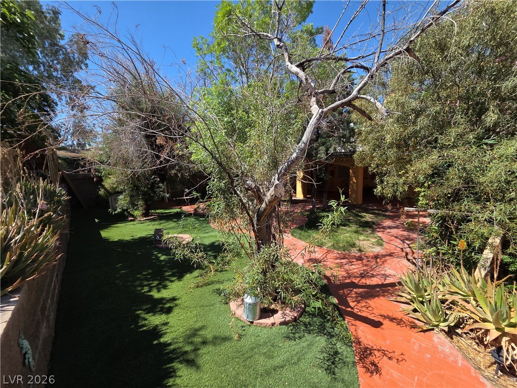 2300 Monterey Pine Drive