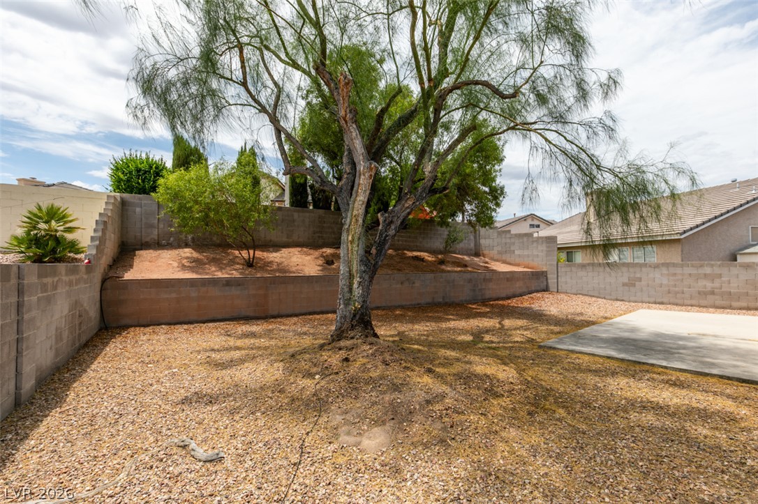 2052 Angel Falls Drive
