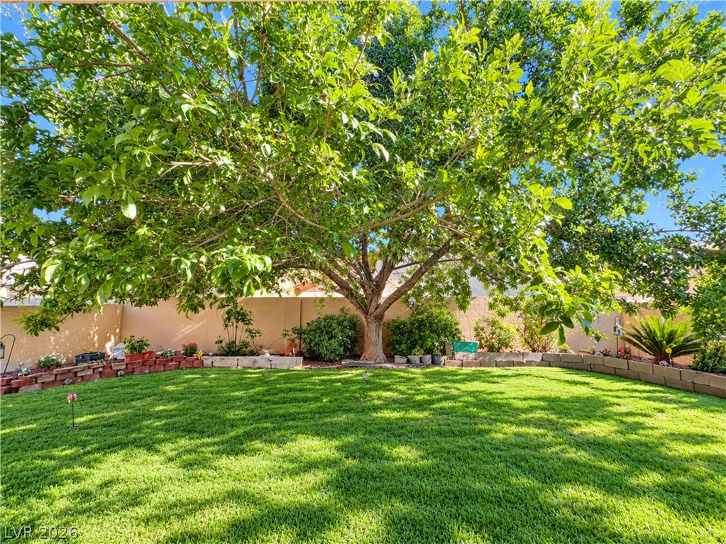132 Cora Hills Court