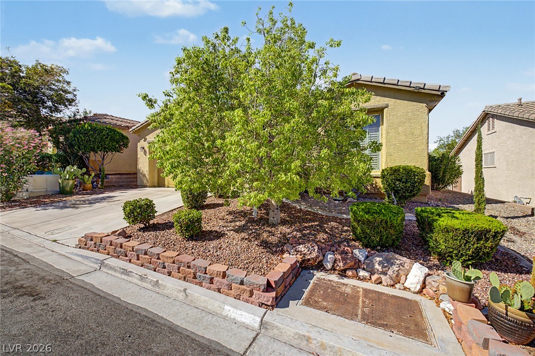 10512 Courtney Cove Avenue