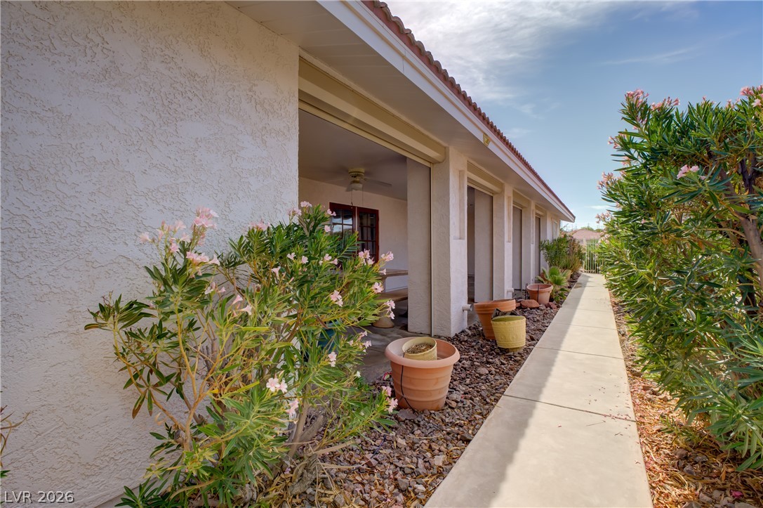 921 Primrose Lane