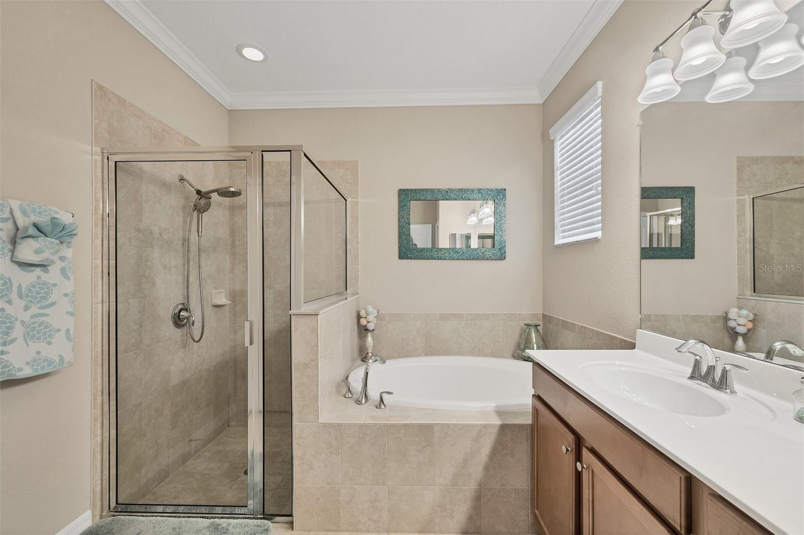 11702 ANHINGA AVENUE