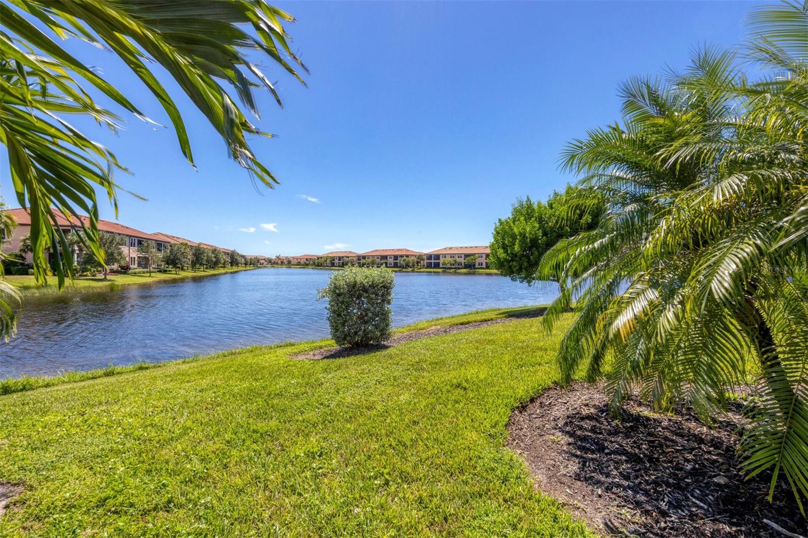 10097 COZY GROVE DR