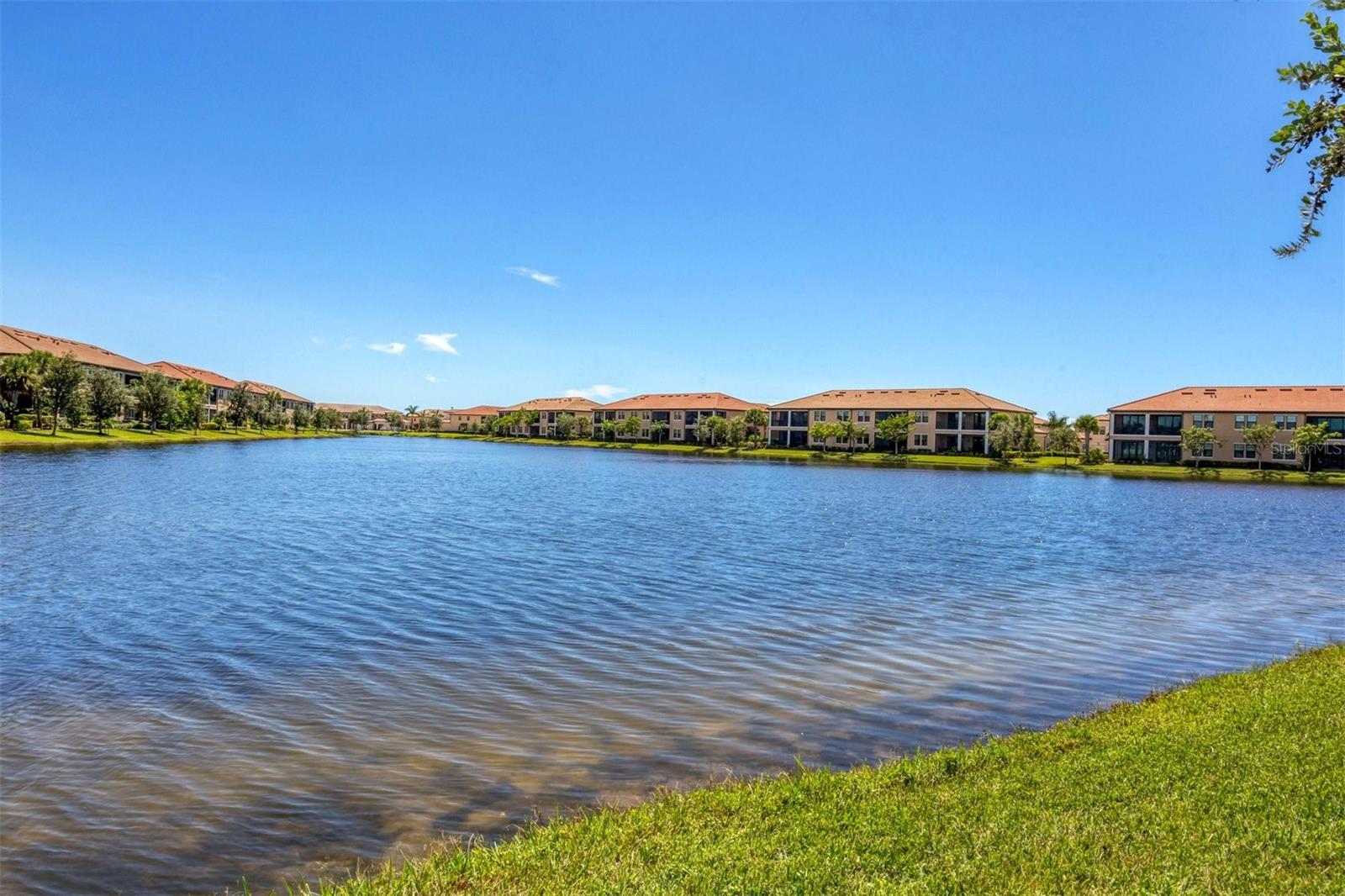 10097 COZY GROVE DR
