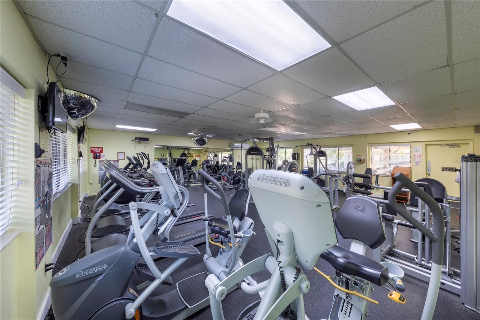 752 WHITE PINE TREE RD #108