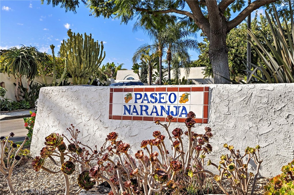 31311 Paseo Naranja