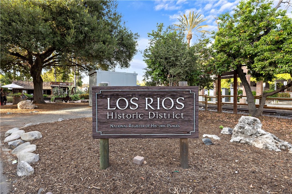 31311 Paseo Naranja