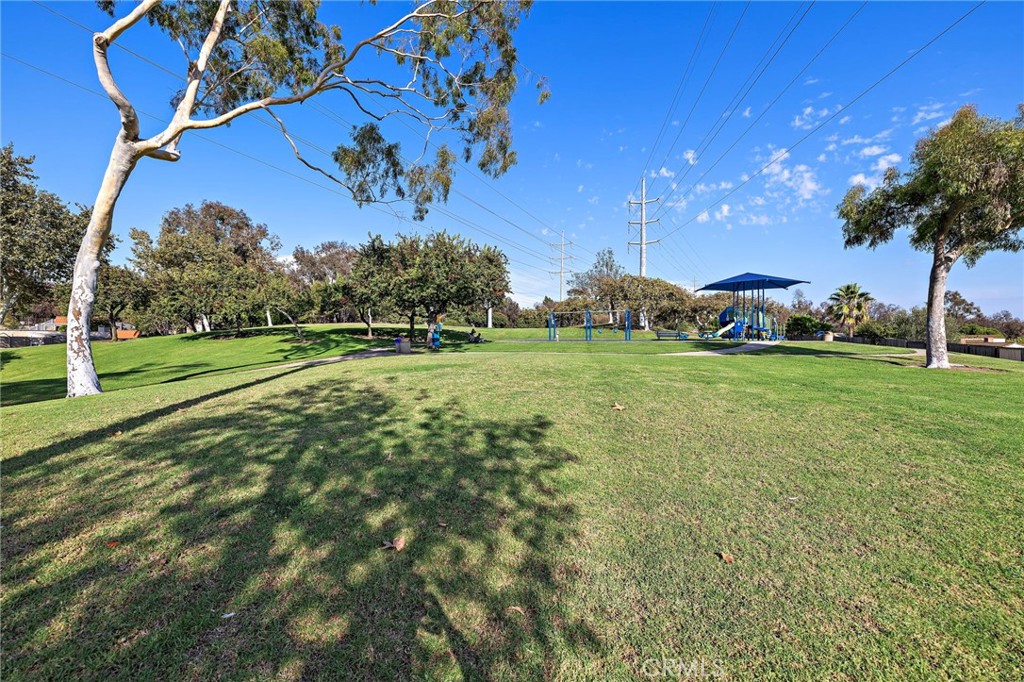 31311 Paseo Naranja