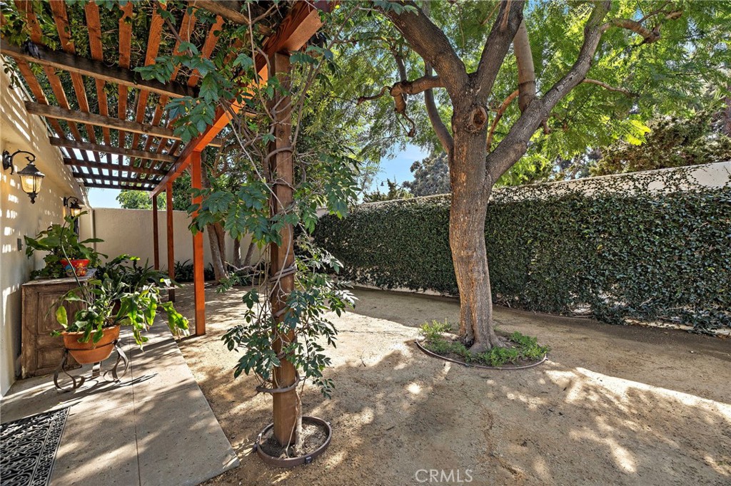 31311 Paseo Naranja