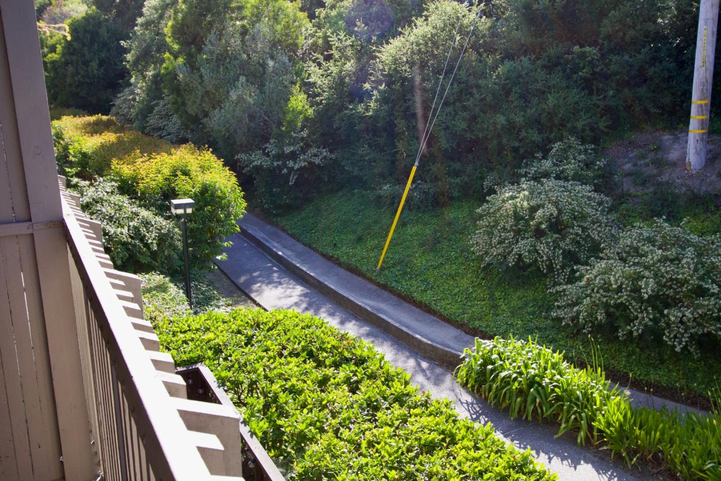 7203 Shelter Creek Lane