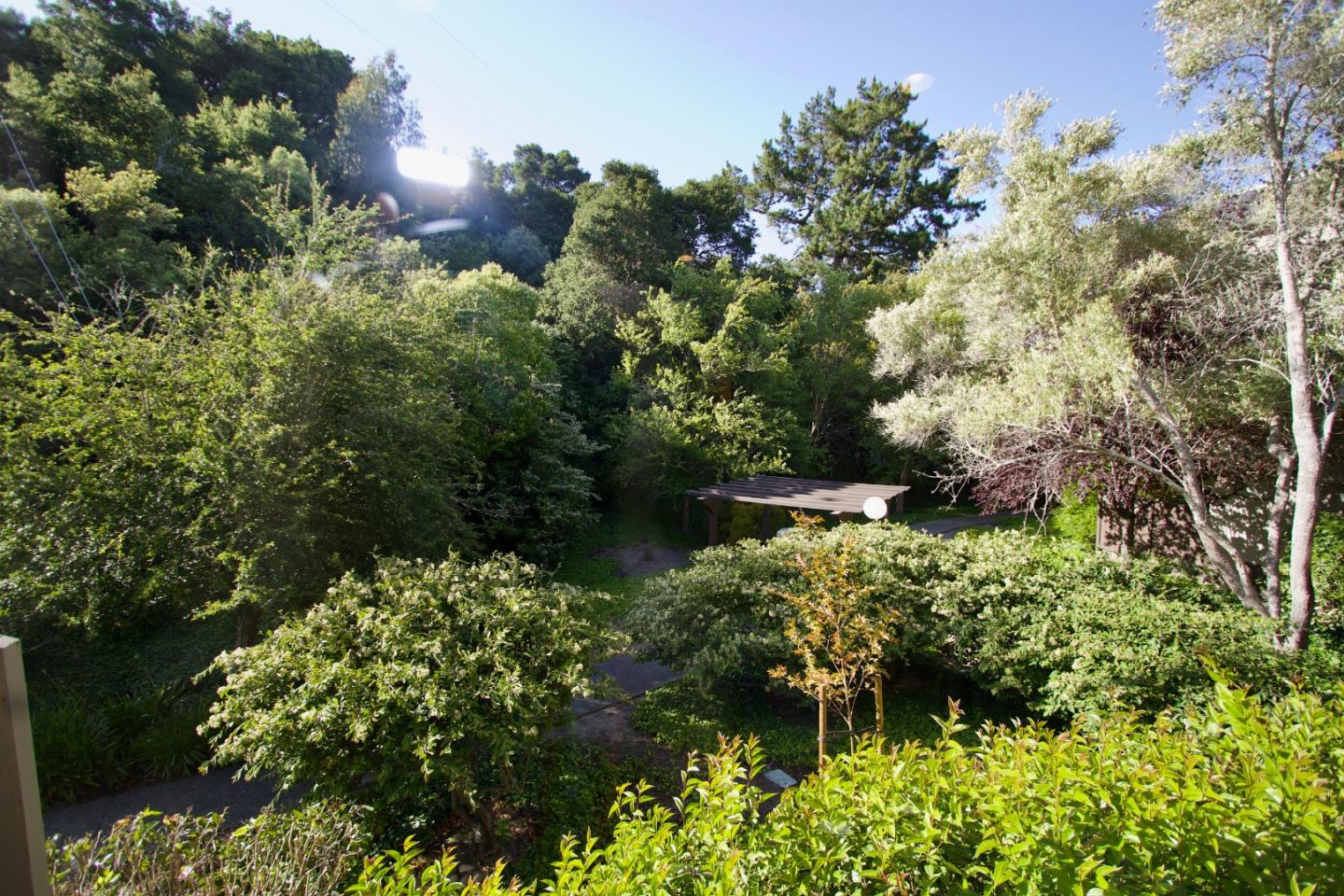 7203 Shelter Creek Lane