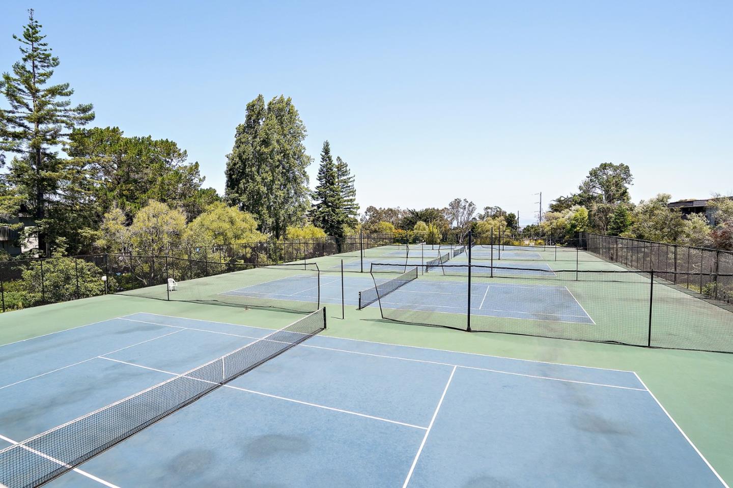 7203 Shelter Creek Lane