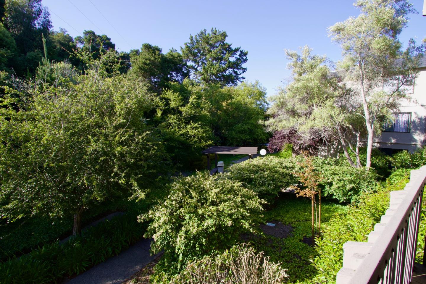 7203 Shelter Creek Lane