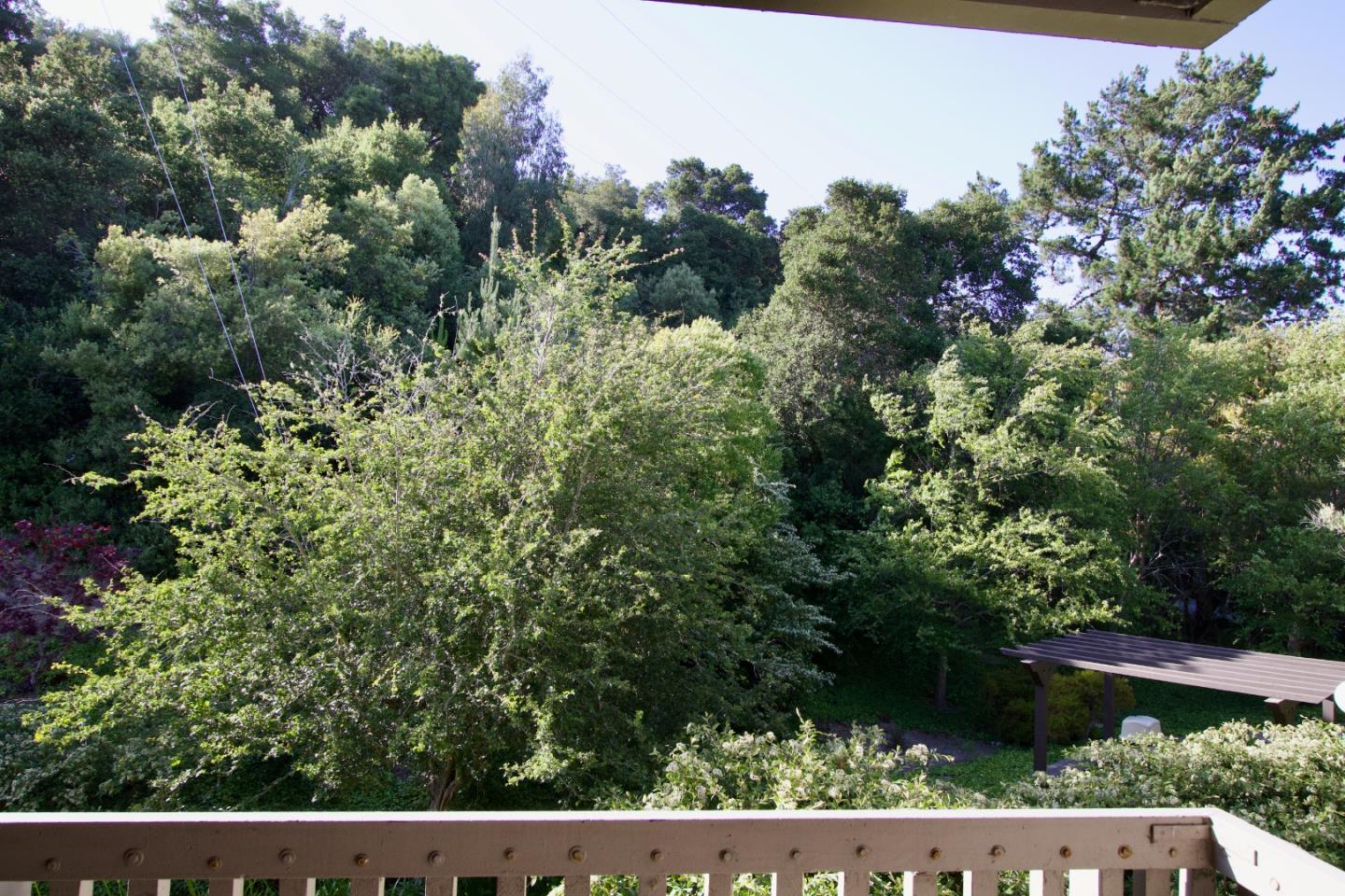 7203 Shelter Creek Lane