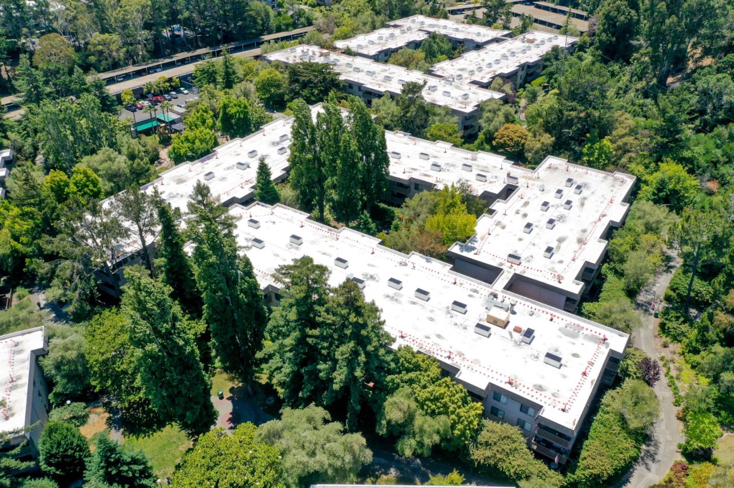 7203 Shelter Creek Lane