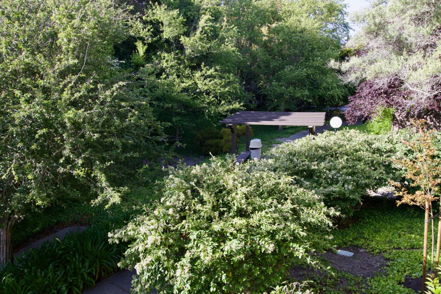 7203 Shelter Creek Lane