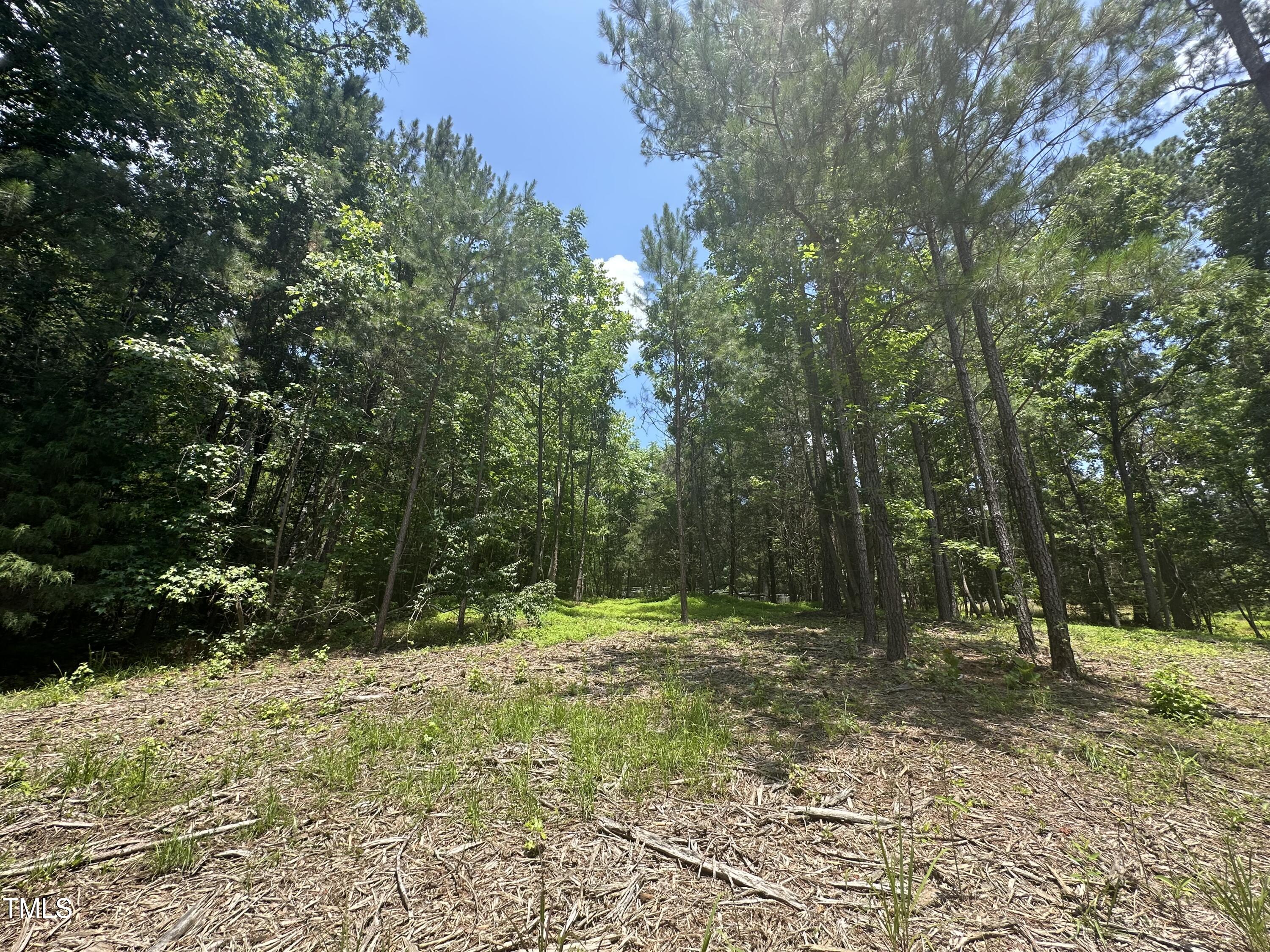 6229 Horse Fly Trail