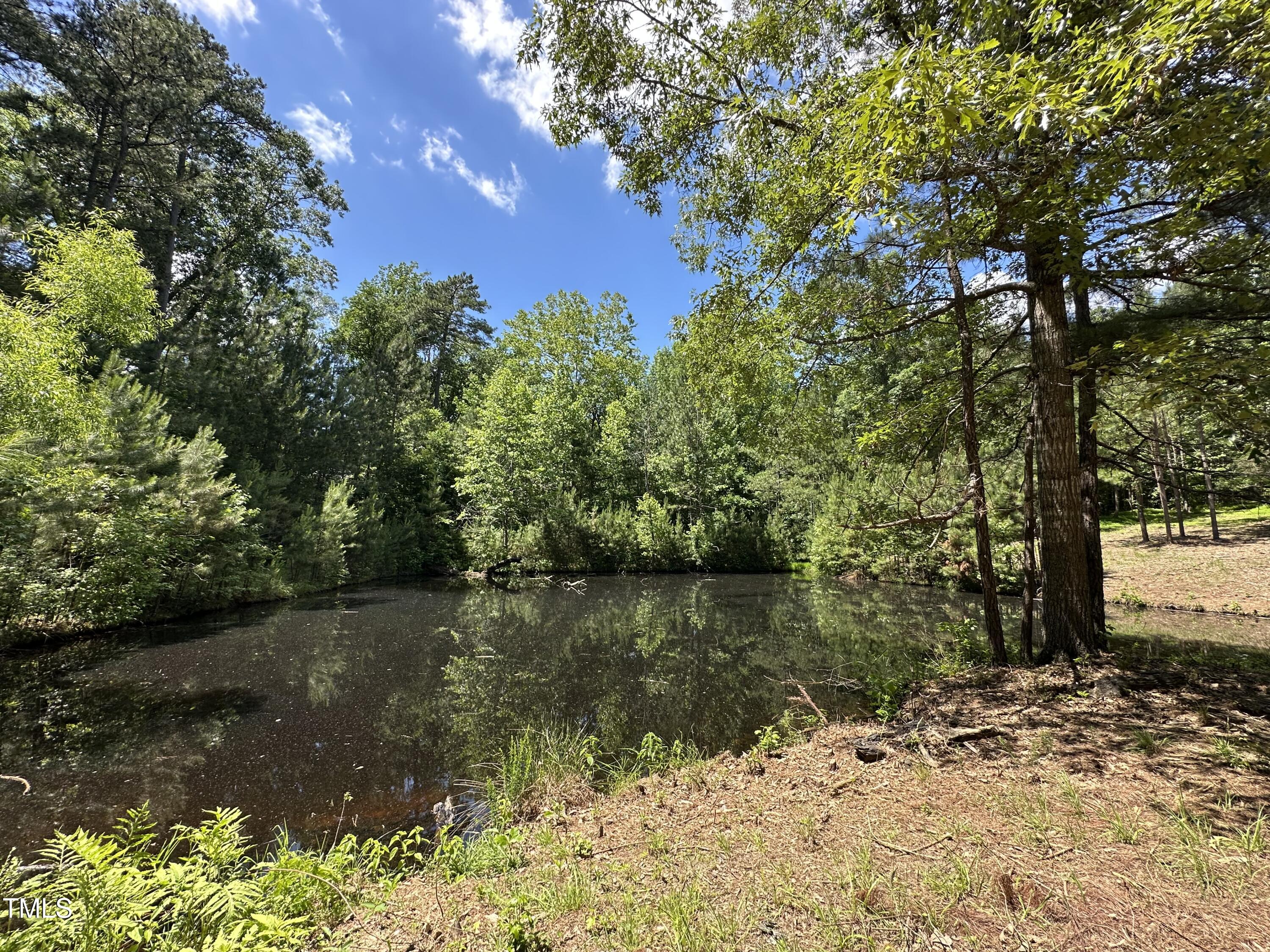 6229 Horse Fly Trail