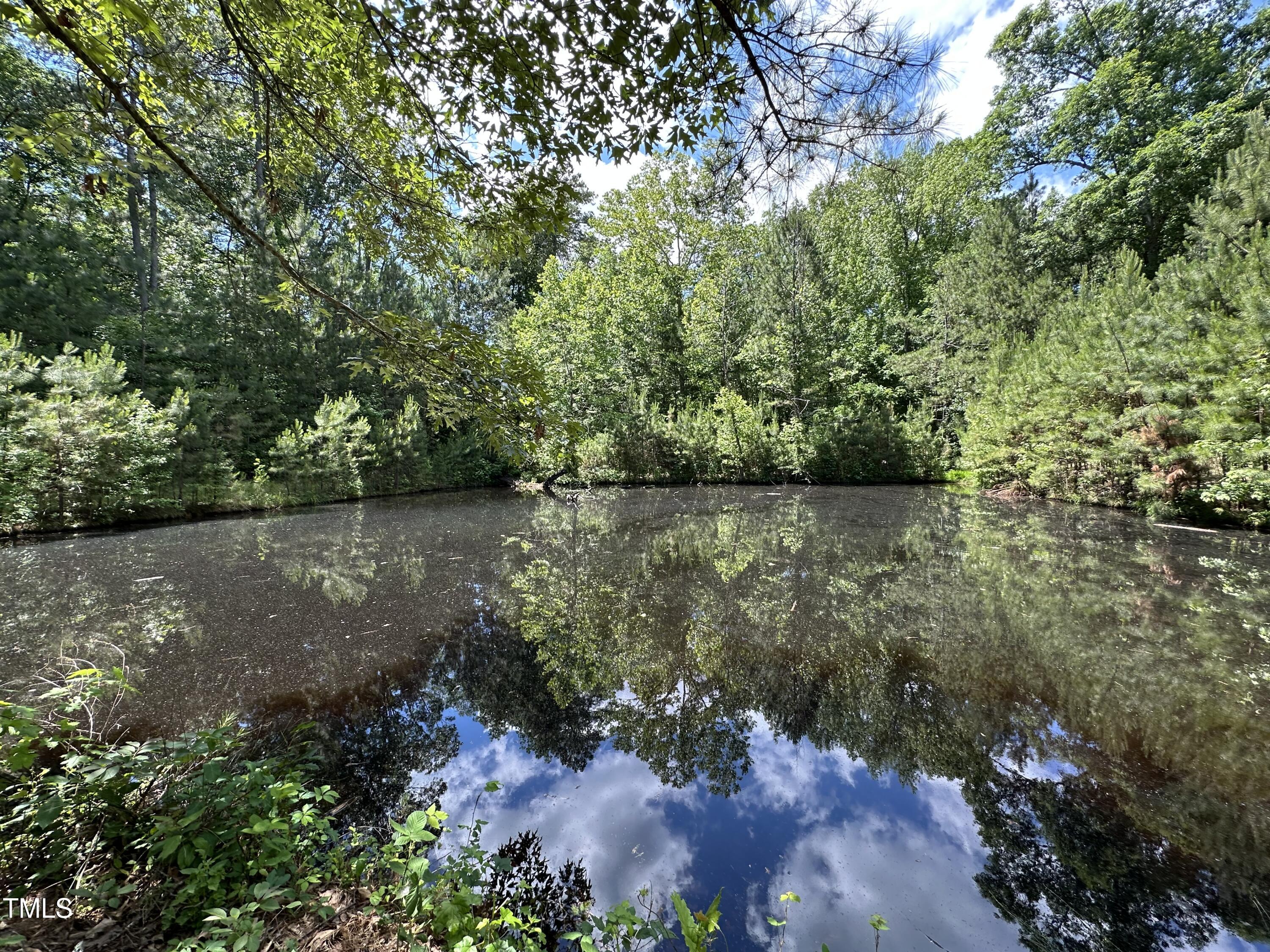 6229 Horse Fly Trail