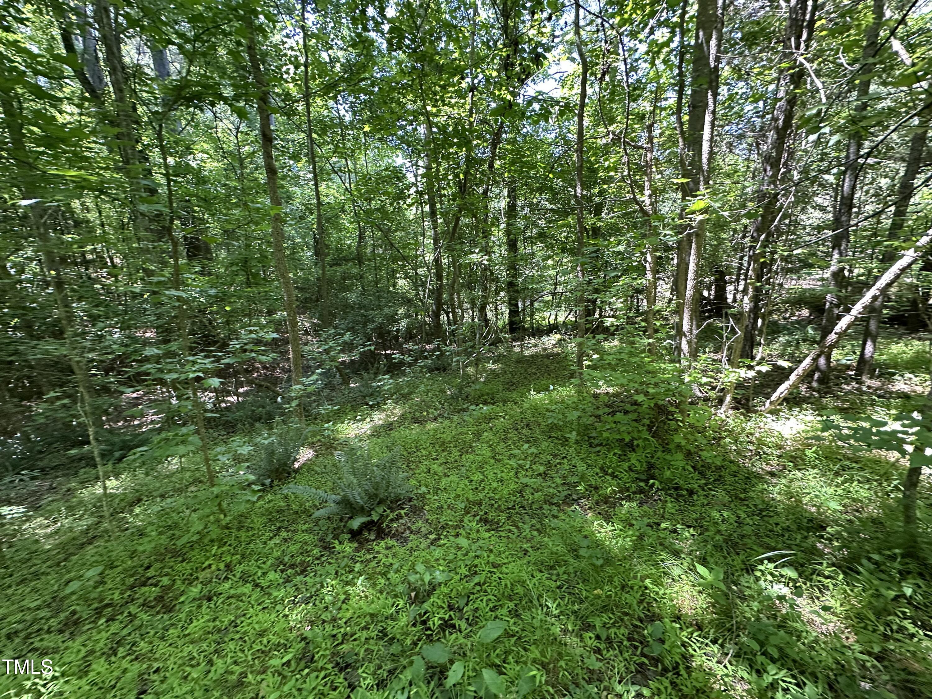 6229 Horse Fly Trail