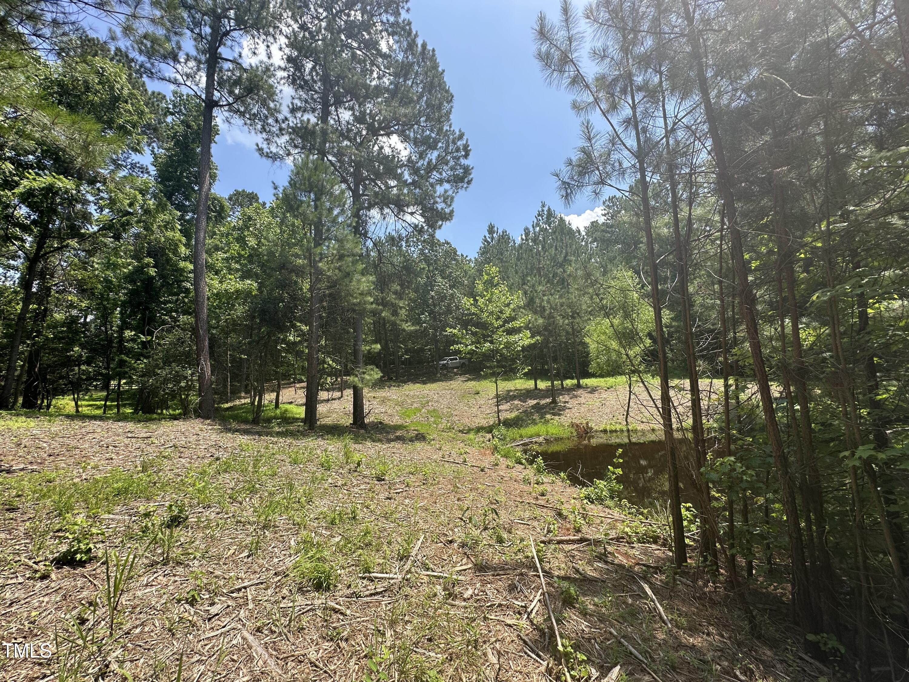6229 Horse Fly Trail
