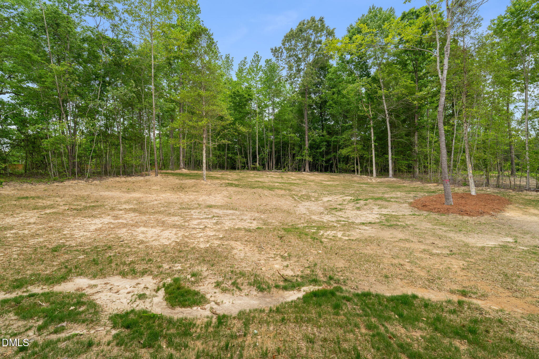 290 Pilot Ridge Road