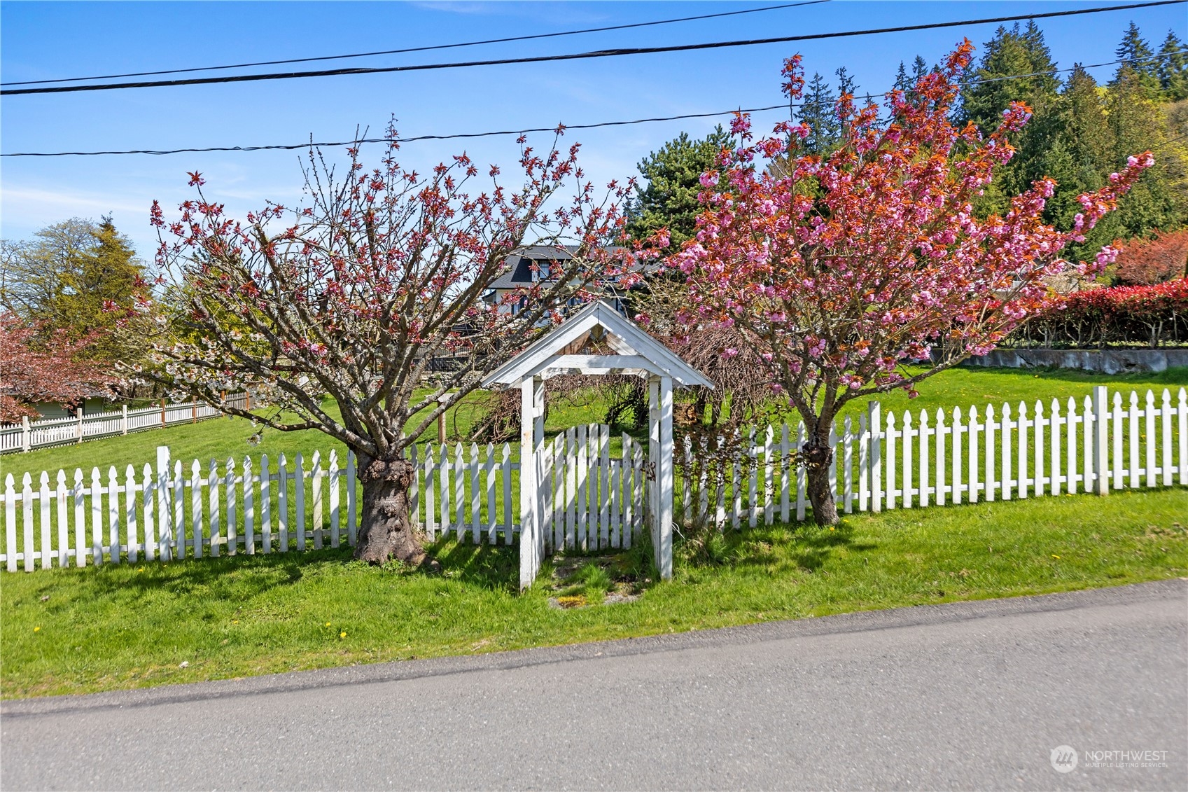 516 Cornelia Avenue