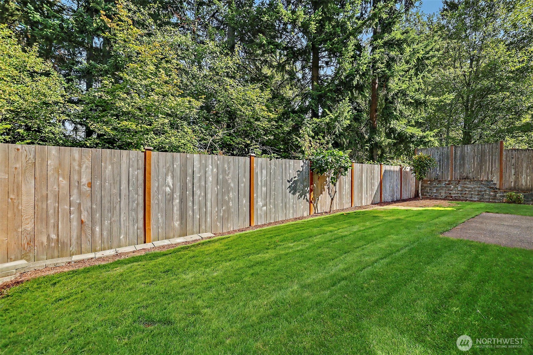 Backyard lawn bordered by a wooden privacy fence, with mature trees and a small paved patio.